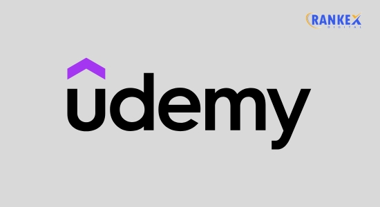 Udemy Inc